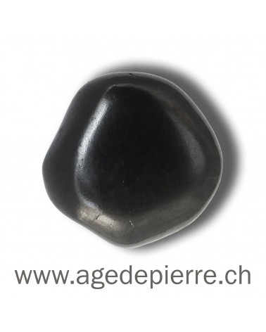 Shungite petit  galet l'Âge de pierre Vevey