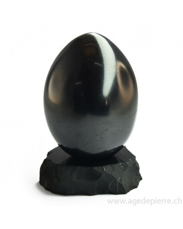 Shungite oeuf l'âge de pierre vevey