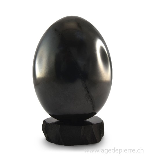 Shungite oeuf l'âge de pierre vevey