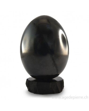 Shungite oeuf l'âge de pierre vevey