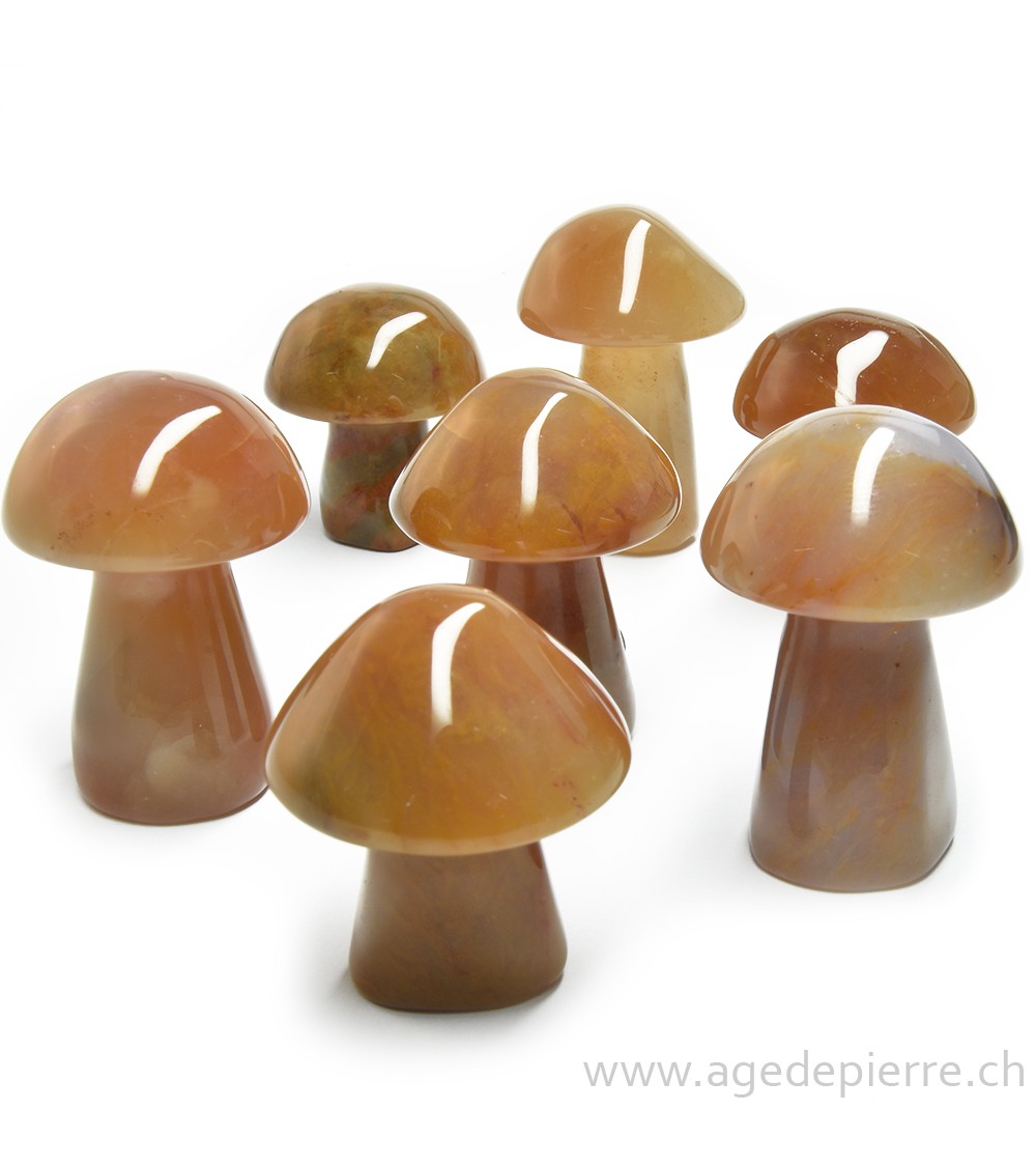 Calcédoine champignon