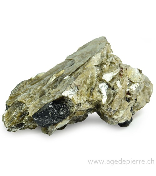 Muscovite brute avec tourmaline noire l'âge de pierre Vevey