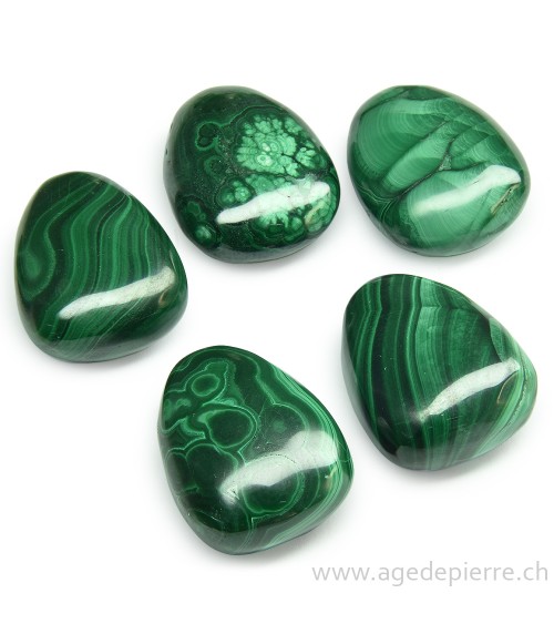 Malachite pendentif pierre percée  l'Âge de pierre Vevey