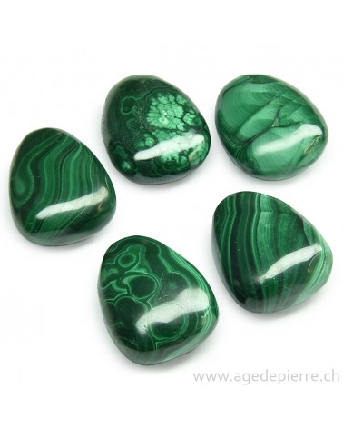 Malachite pendentif pierre percée  l'Âge de pierre Vevey