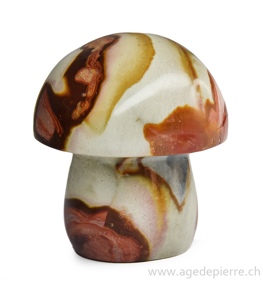 Jaspe polychrome champignon l'Âge de pierre Vevey